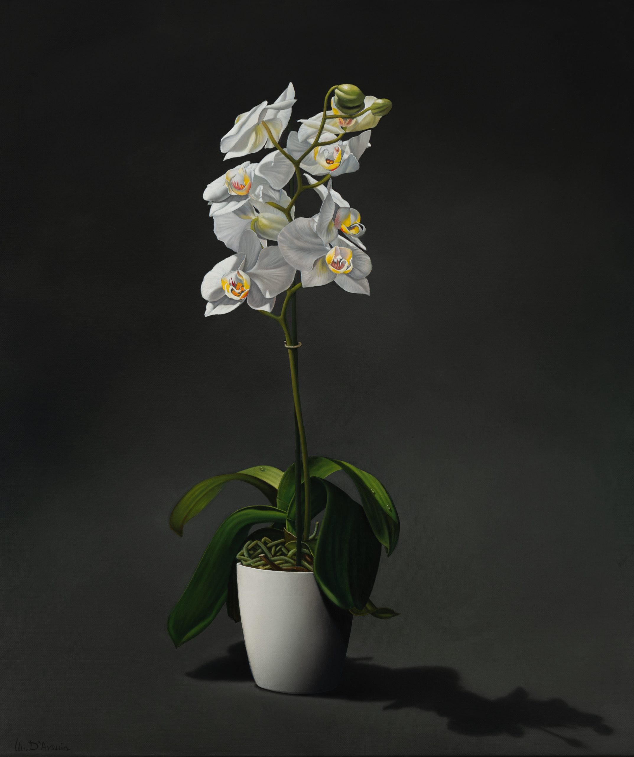 Al momento stai visualizzando “Purity”